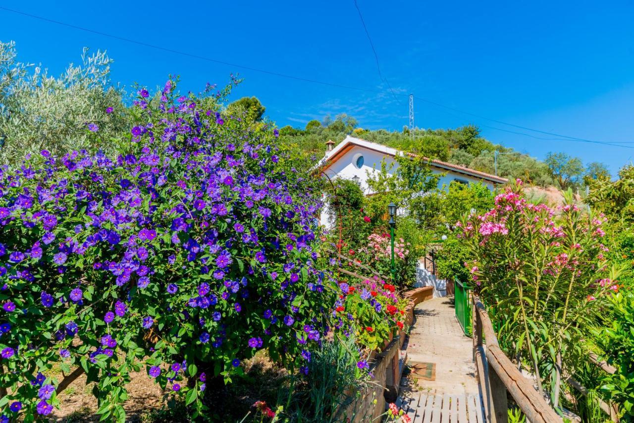 הוילה ארדאלס Cubo'S Casa El Pantanillo מראה חיצוני תמונה